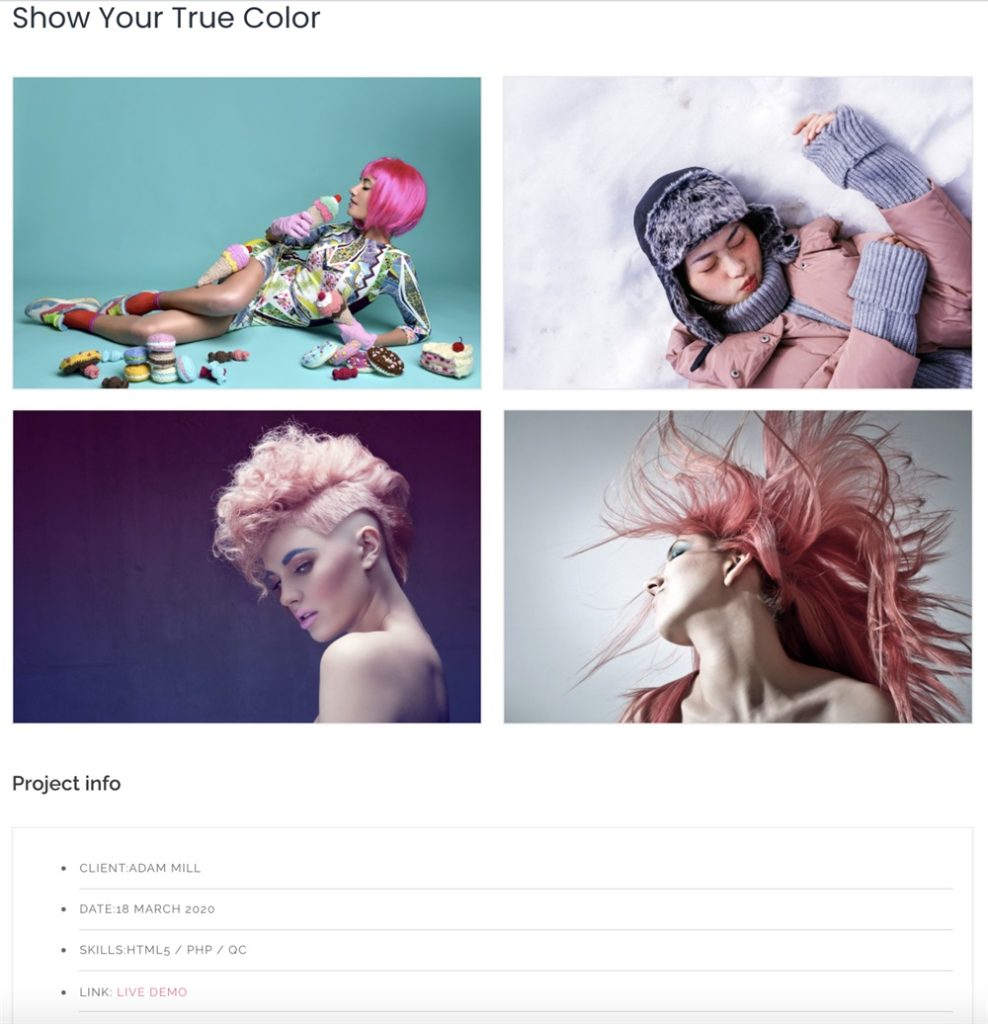 Gallery using WP Portfolio